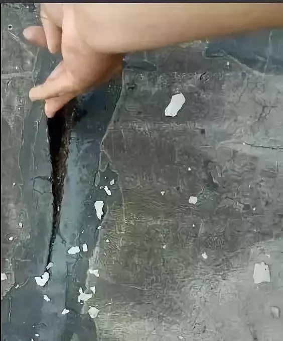 ˮ©