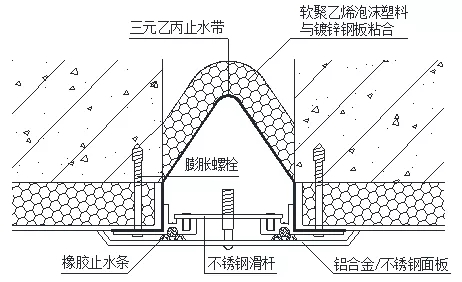 ǽ©